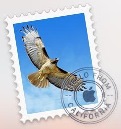 mac_osxmail-0000